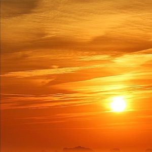 Meet your Posher, Viktoriia